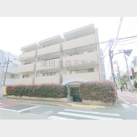 武蔵新田駅より徒歩5分 4階 築37年10ヶ月の賃貸物件