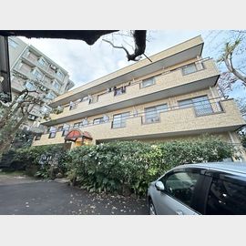 ポーラ・スター 3階 築33年10ヶ月の賃貸物件