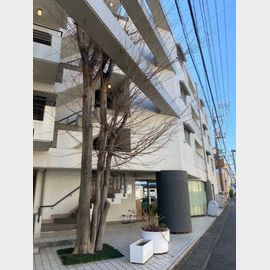 アネクスドルムの賃貸物件