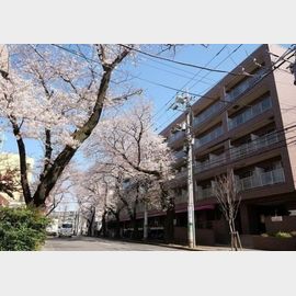 コンフォリアたまプラーザ208.の賃貸物件