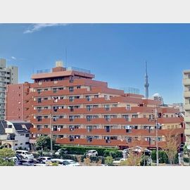 シャルムKカーサの賃貸物件