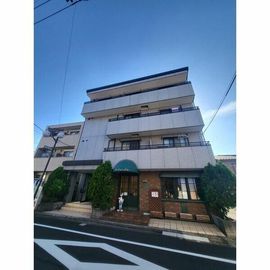 セントアイヴィス向島の賃貸物件