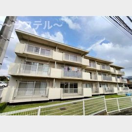 ルネッサンス１号館 3階 築37年の賃貸物件