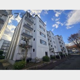 みどり野マンションＤ 1階 築47年9ヶ月の賃貸物件