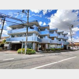 航空公園駅より徒歩6分 3階 築35年6ヶ月の賃貸物件