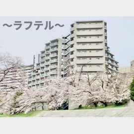 入間市駅より徒歩9分 10階 築28年10ヶ月の賃貸物件