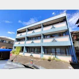 ノバハウス 1階 築36年11ヶ月の賃貸物件