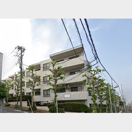 鹿島山王ヒルズの賃貸物件
