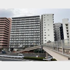 大森海岸駅より徒歩2分 築48年3ヶ月 14階建の賃貸物件