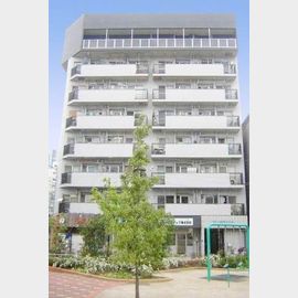 ワコーレ錦糸町マンション 6階 築47年9ヶ月の賃貸物件