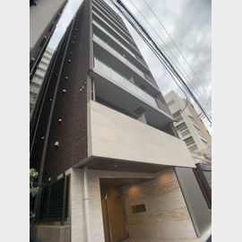 ディアレイシャス西大島駅前の賃貸物件