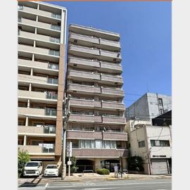 錦糸町駅より徒歩10分 10階 築35年7ヶ月の賃貸物件