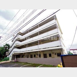 柳沢ハイム 1階 築56年5ヶ月の賃貸物件