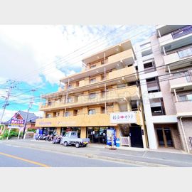 東大和市駅より徒歩5分 5階 築40年6ヶ月の賃貸物件