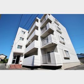 タウンハイツ京都 1階 築40年3ヶ月の賃貸物件