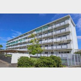 丹生駅より徒歩11分 築37年1ヶ月 5階建の賃貸物件