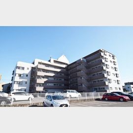 太田駅より徒歩12分 6階 築36年11ヶ月の賃貸物件