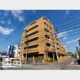 アルファガーデン番町 6階 築39年10ヶ月の賃貸物件