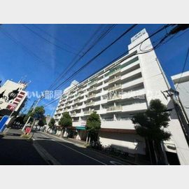 藤塚コーポラス 8階 築51年9ヶ月の賃貸物件