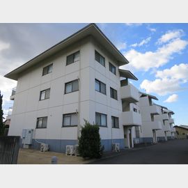 伏石駅より徒歩6分 築39年11ヶ月 3階建の賃貸物件