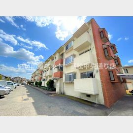 ピュアハイツ 3階 築42年8ヶ月の賃貸物件