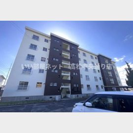 林道駅より徒歩13分 5階 築55年1ヶ月の賃貸物件