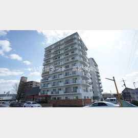 琴電屋島駅より徒歩7分 10階 築51年4ヶ月の賃貸物件
