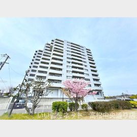 宇多津駅より徒歩23分 12階 築34年1ヶ月の賃貸物件