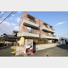 サンライズ桜 3階 築18年11ヶ月の賃貸物件