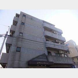 エクセレンス岸谷 3階 築32年9ヶ月の賃貸物件