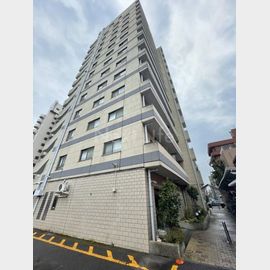 川崎スパマンション 8階 築30年10ヶ月の賃貸物件