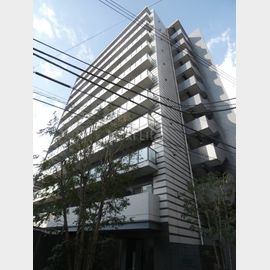ラフィスタ川崎２ 9階 築11年1ヶ月の賃貸物件