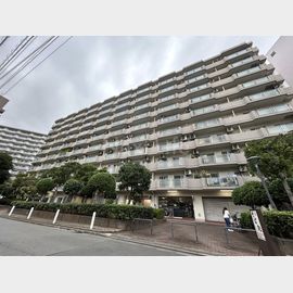 八丁畷駅より徒歩8分 9階 築45年5ヶ月の賃貸物件