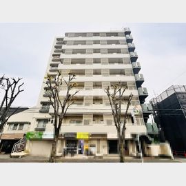 セイワスカイハイツ星ヶ丘 9階 築40年2ヶ月の賃貸物件