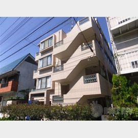 ベルサイユ川崎 3階 築38年7ヶ月の賃貸物件