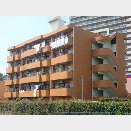 ハイツイチノC 2階 築35年7ヶ月の賃貸物件