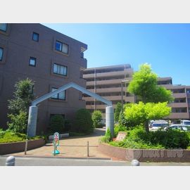 川崎駅より徒歩15分 2階 築30年5ヶ月の賃貸物件