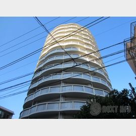 平間駅より徒歩2分 11階 築33年7ヶ月の賃貸物件