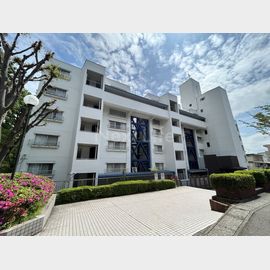 ヒルトップ宮崎台 5階 築51年6ヶ月の賃貸物件