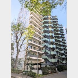 パークシティ溝の口Ｄ棟 9階 築44年1ヶ月の賃貸物件