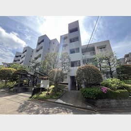 鷺沼駅より徒歩12分 5階 築55年9ヶ月の賃貸物件