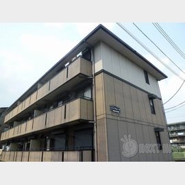 ハイカムールの賃貸物件