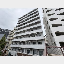 スカイコート川崎2 8階 築38年の賃貸物件
