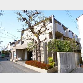 ジョイフル相模原 1階 築38年10ヶ月の賃貸物件