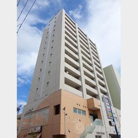 海老名駅より徒歩6分 10階 築16年10ヶ月の賃貸物件