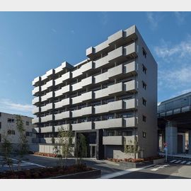 武蔵新城駅より徒歩13分 4階 築1年10ヶ月の賃貸物件