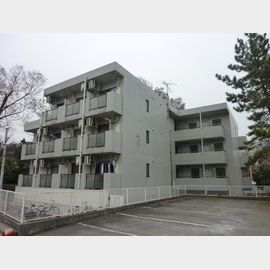 パースサイド 1階 築37年6ヶ月の賃貸物件