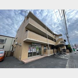 カーペンターハウス 3階 築23年の賃貸物件