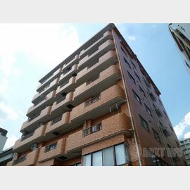 アルカサール 5階 築36年1ヶ月の賃貸物件