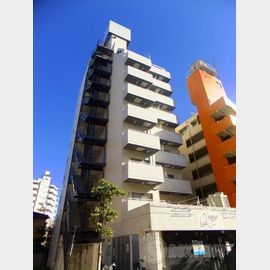 トップ川崎Ｎｏ．２ 8階 築40年7ヶ月の賃貸物件